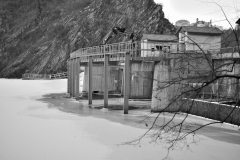DSC9522